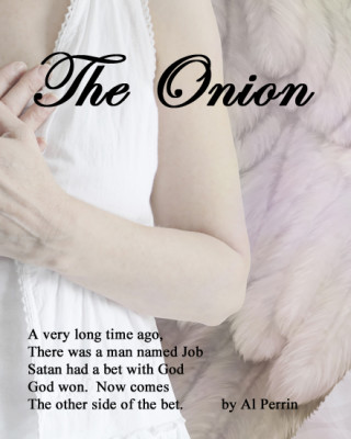 The Onion Bookcover resize thumbnail copy